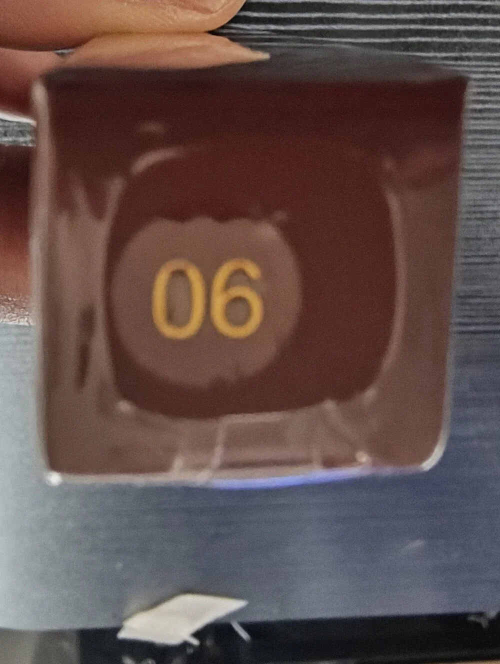 Matte Lipstick Stick in Deep Brown (Color 06)-NIB